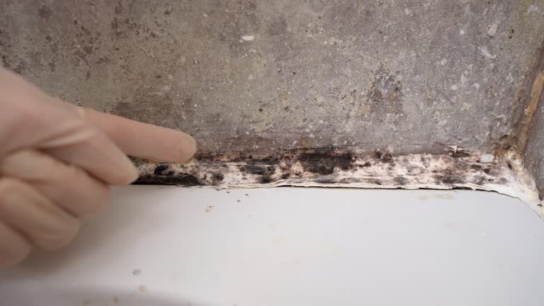 Best Post-Remediation Verification Testing  in Red Oak, IA